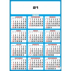 I - Anual 21
